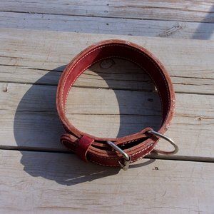 Ray Allen Heavy Duty Leather Agitation Collar